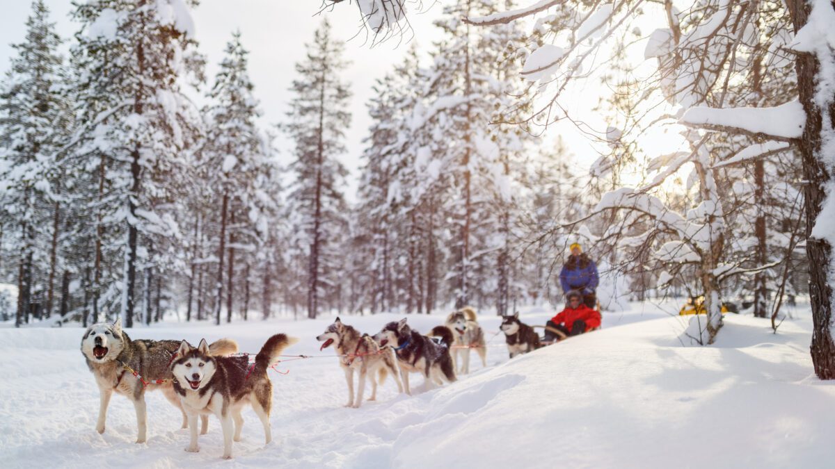 Kies voor een onvergetelijke sneeuwvakantie in Lapland!